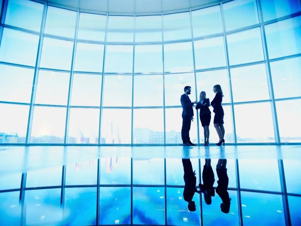 SMS Consulting_business f